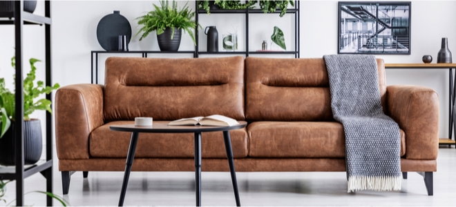 leather couch in stylish living room