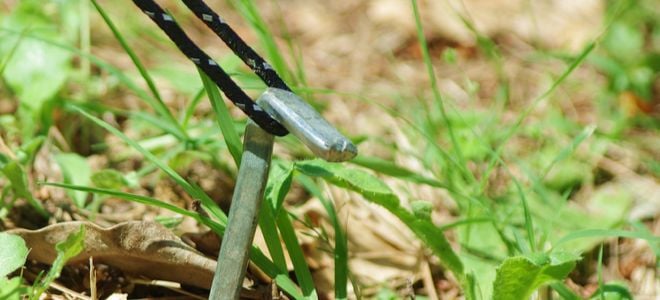 tent peg with rope