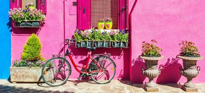 bright pink house