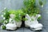 Ceramic boots with plants inside