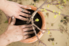 Potting a plant with bare hands