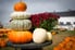  A stack of pumpkins at a pumpkin farm with a white barn in the background. 