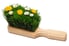 A hand broom with grass and daisies.