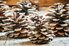 A grouping of pinecones on a wood surface. 
