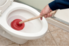 Using a plunger in the toilet bowl
