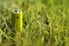 A yellow rechargeable battery sits in the grass.