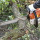 A man uses a chainsaw.