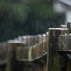 fence with posts in rain