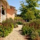 Water Wise Advice From a Sustainable Landscaper