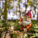 gnome in a yard