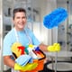 Answers to Mold Cleaning Questions