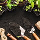 Square Foot Gardening: Caring For Your Larger Plants