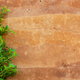 rammed earth wall with plant
