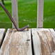 A crowbar is being used to pull lifted nails out of a worn, peeling deck.