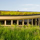A green roof on a building.