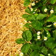 How to Mulch a Flowerbed