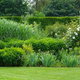 green lawn with bushy garden