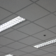 paneled ceiling with fluorescent lights