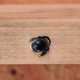 The end of a carpenter bee drilling into unpainted wood to make a nest.