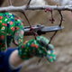 Pruning a tree with hand pruners.
