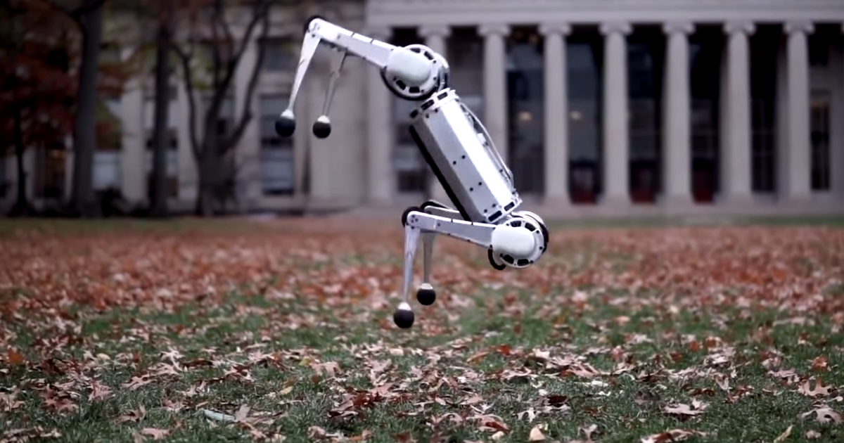MIT's Mini Cheetah leaps into the air to perform a backflip on grassy terrain.