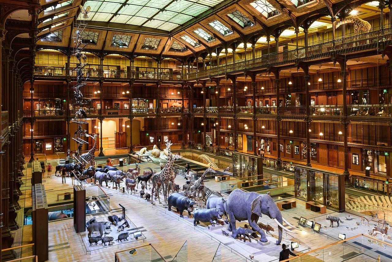 The Hall of Evolution in the Paris Natural History Museum features several large sculptures of organisms from across time.