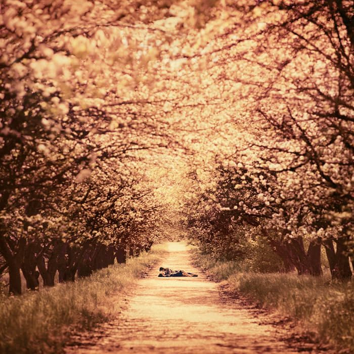Surreal photograph by Ukrainian artist Oleg Oprisco shows a woman laying in the middle of a tree-lined pathway.