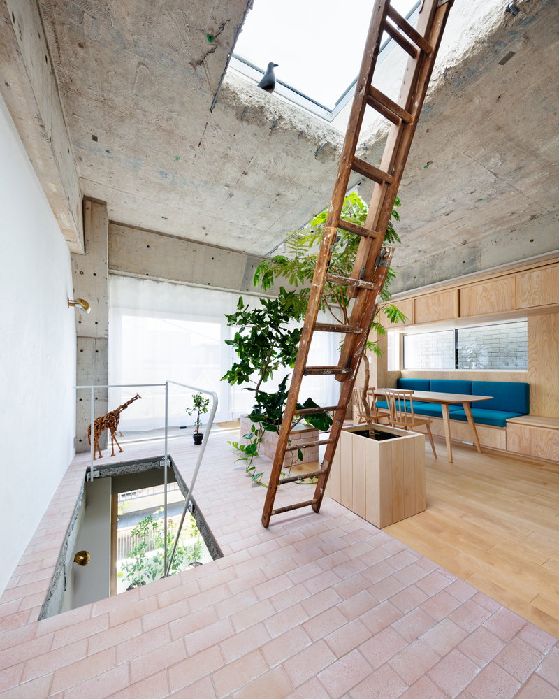 Ladder inside MAMM Design's renovated concrete residence leads to the roof through a large central skylight. 