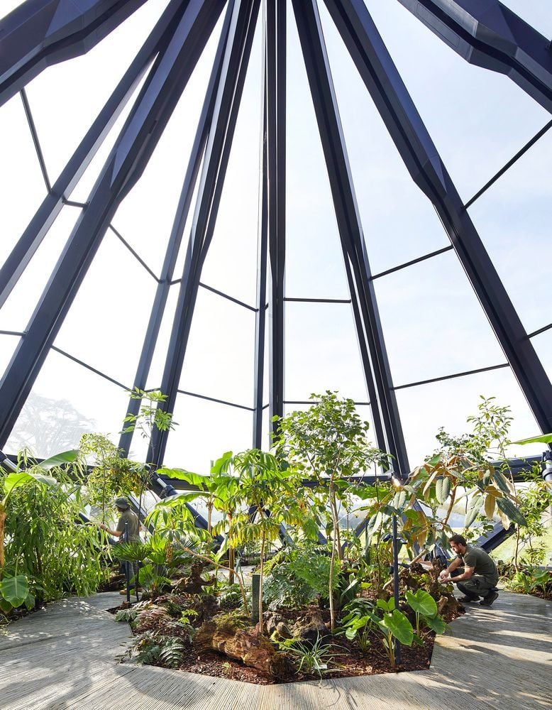 Several tropical plant species are contained inside the Glasshouse.