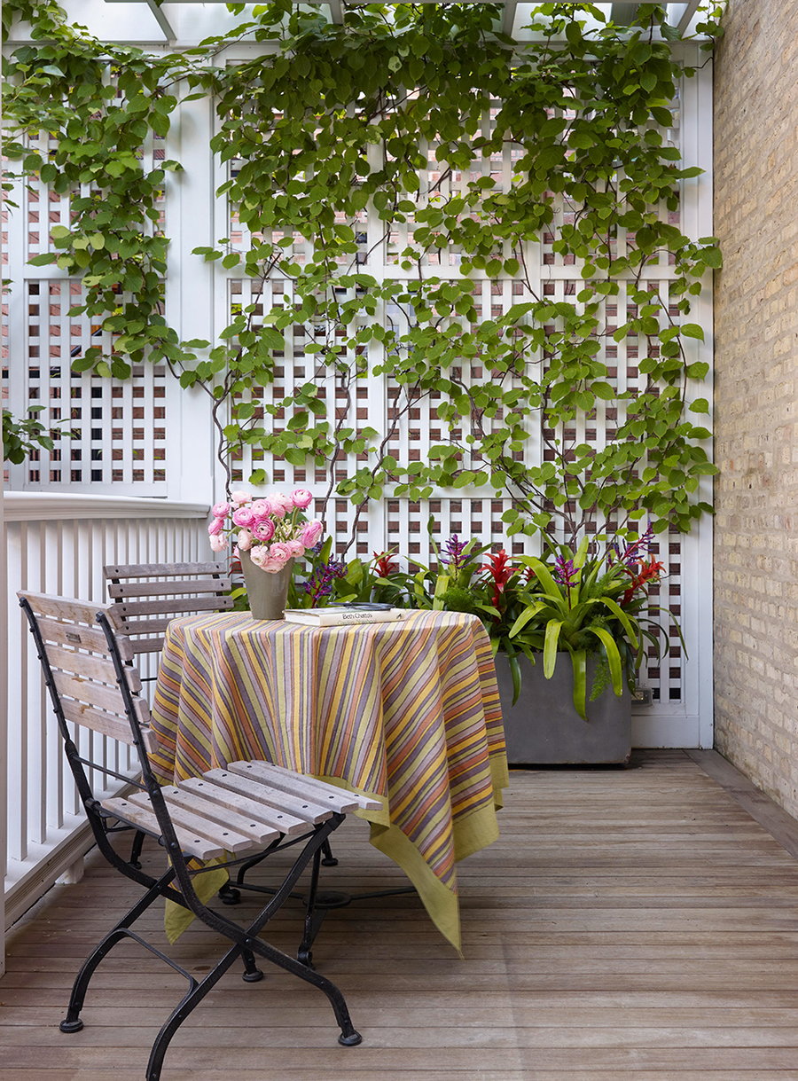 A simple white privacy trellis allows ample greenery to grow up its length while providing people in the yard with beautiful natural covering. 