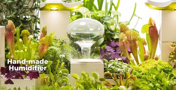 Each LeGrow modular desktop garden comes with a handmade humidifier to keep your plants happy all the time.
