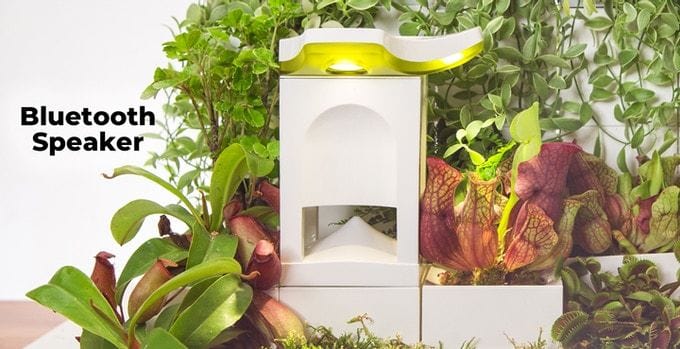 Larger versions of the LeGrow modular desktop garden even boast a fun Bluetooth speaker that lets you serenade your plants.