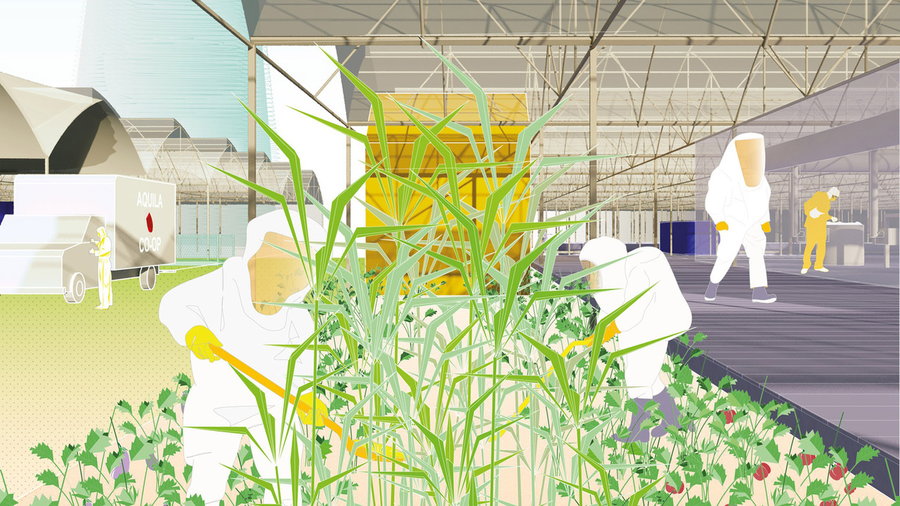 Colorful graphic for Europe's LINA sustainable architecture program imagines a future where we grow our own crops.
