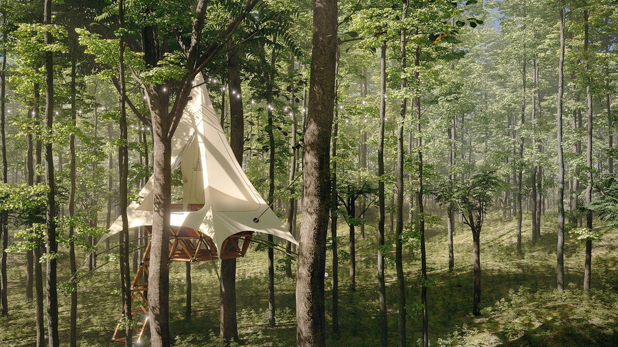 One of O2 Treewalkers' Customizable glamping tents set up in a forest area.