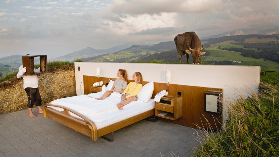 Guests lounge in the bed of the wall-less Vineyard Suite while a cow grazes just behind them.