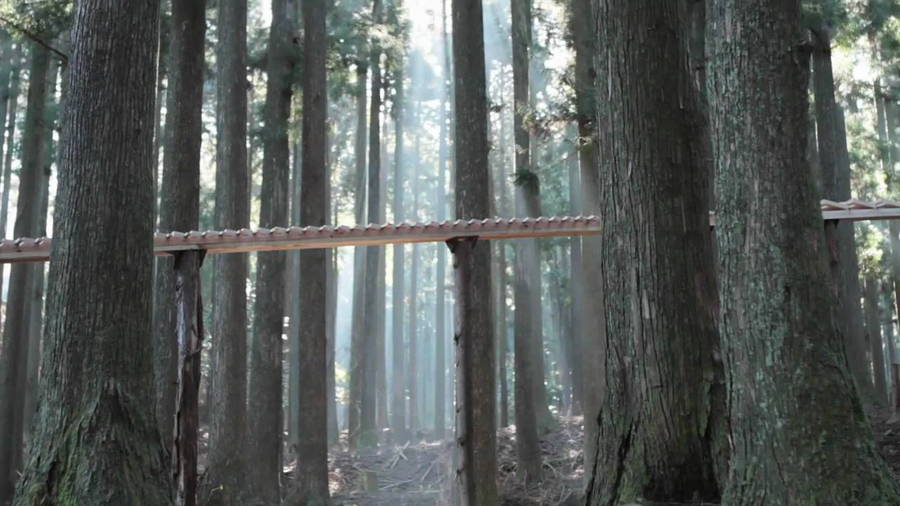 This mile-long xylophone uses a rolling wooden ball to play Bach all throughout a serene Japanese forest.  