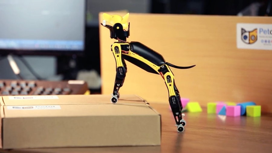 Meet Petoi Bittle, the miniature robot dog that does tricks and teaches kids about computer coding. 