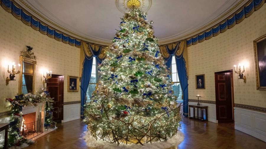18.5-foot Concolor Fir from Auburn, Pennsylvania graces the White House Blue Room during the 2022 holiday season.
