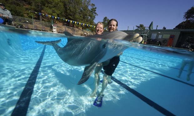 Kids and parents play in the water with Edge Innovations' robotic dolphin prototype. 