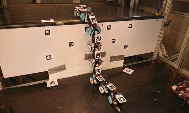 A working prototype of the Johns Hopkins team's robotic kingsnake. 