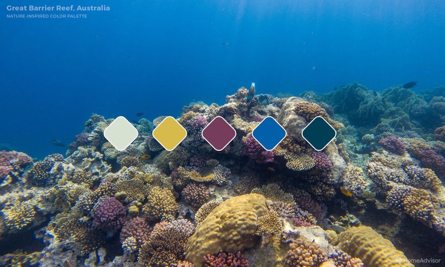  This Great Barrier Reef-inspired color palette plays off the deep, otherworldly blues, greens, and purples of Australia's coral reefs. 