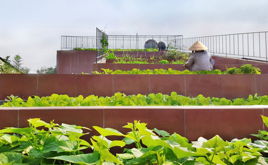 Each level of the Red Roof serves as an individual built-in planter for urban farming and gardening. 