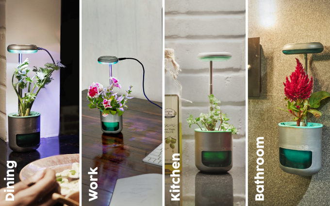 PICO smart planters look good in just about every room in the house.