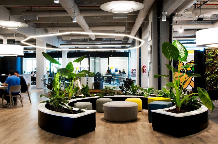 The common areas inside the new Mercado Libre Office are well-lit, comfortable, and adorned with lots of greenery. 