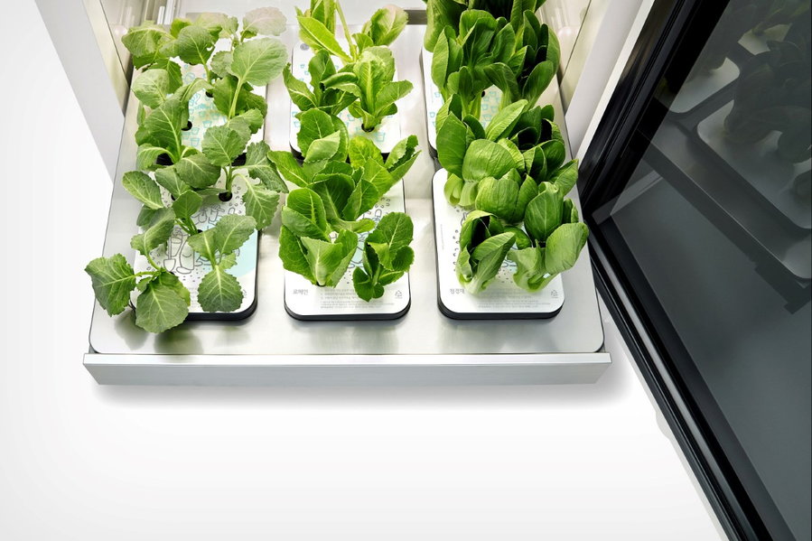 Large growing trays inside the LG Tiiun allow users to grow several plant varieties at the same time.