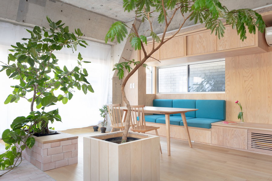 Simple wooden dining area adorned with small trees inside MAMM's renovated Tokyo residence. 