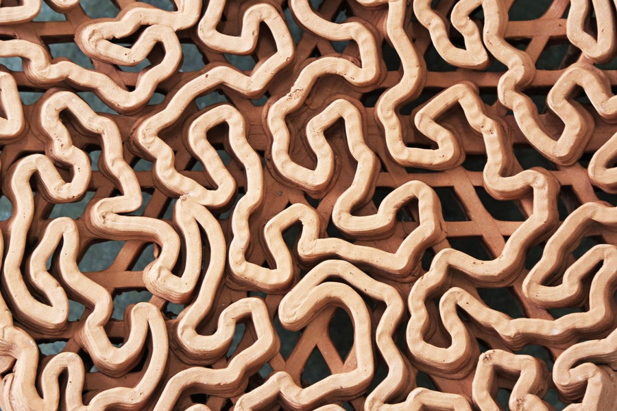 Close-Up of the University of Hong Kong's innovative new 3D printed reef tiles. 