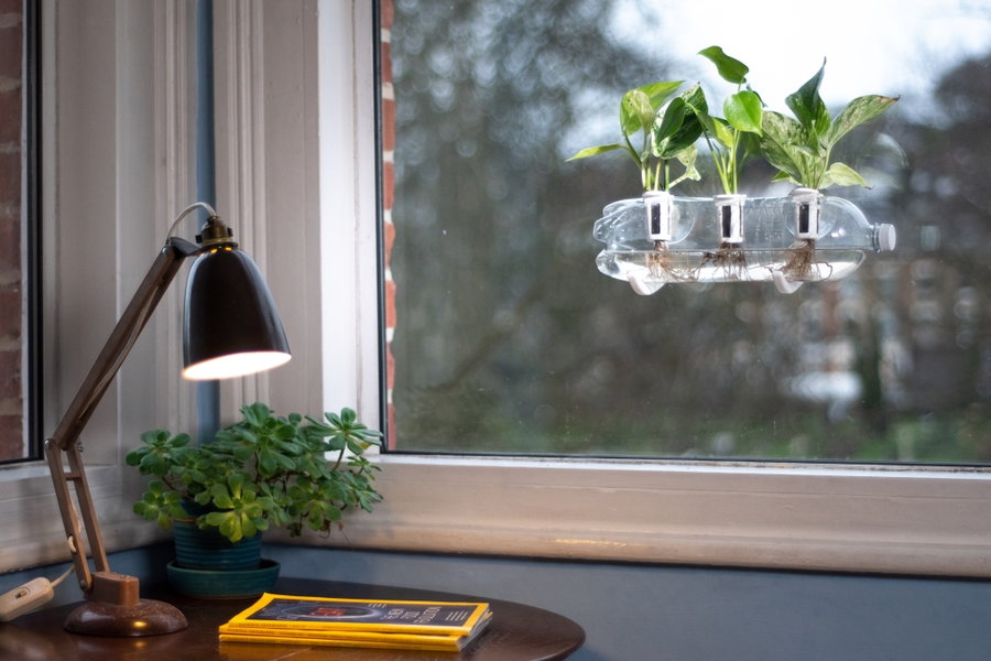 A Bottle Farm hydroponic growing kit rests cozily against the glass of an indoor window pane, with three healthy-looking plants sprouting from its center. 