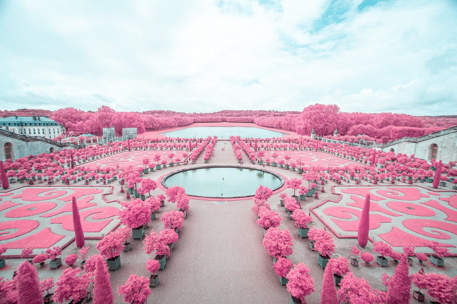 Gorgeous bubblegum version of the gardens at Versailles, as featured in Paolo Pettigiani's 