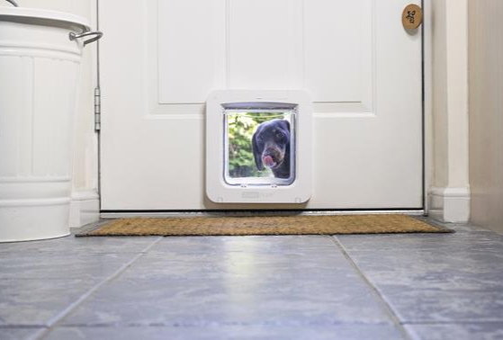 Dog peers into his house from outsie the SureFlap Microchip Pet Door.